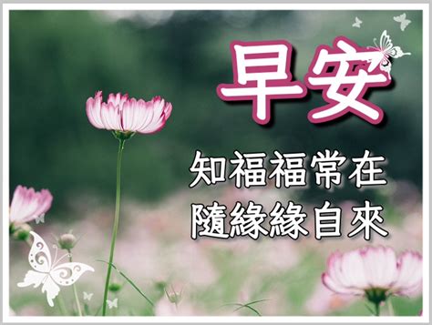 考試順利長輩圖